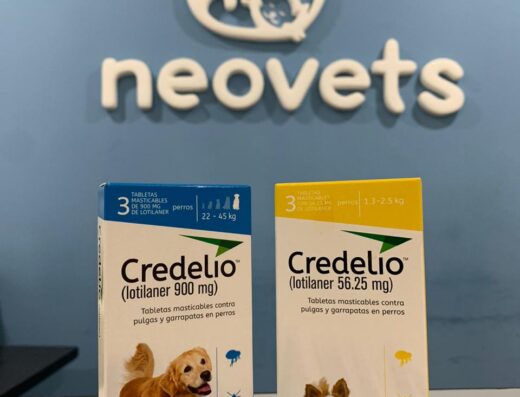 NEOVETS clínica veterinaria