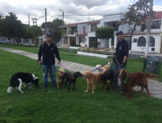 OH MY DOG COLOMBIA