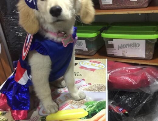 OH MY DOG COLOMBIA