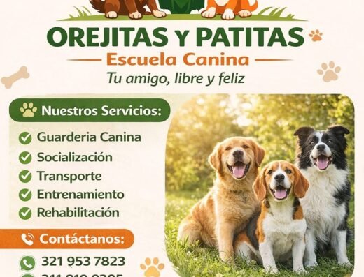 Orejitas y patitas