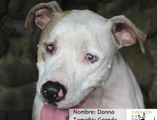 Donna
