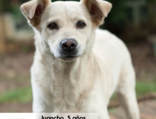 Juancho