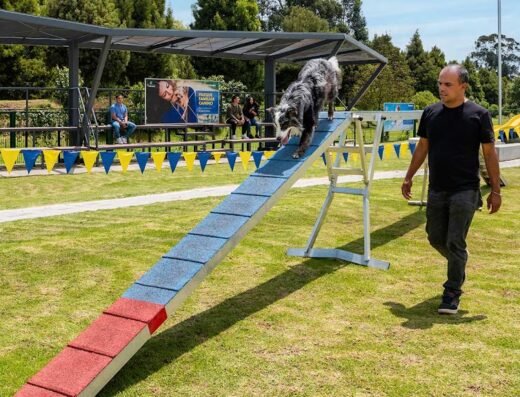 Parque de Entretenimiento Canino Colsubsidio