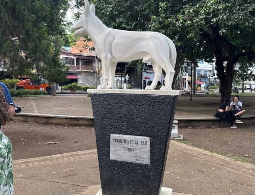 Parque Del Perro