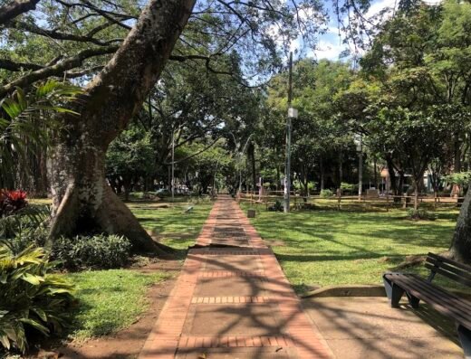 Parque Del Perro