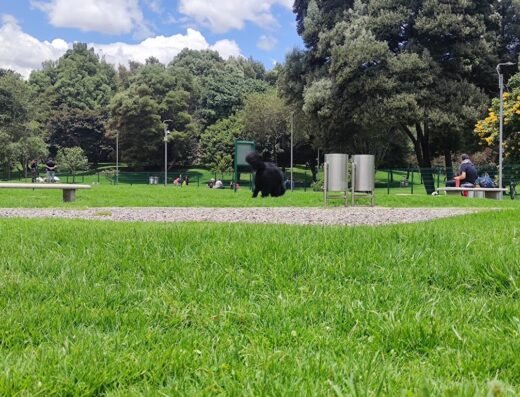Parque para perros Simón Bolívar