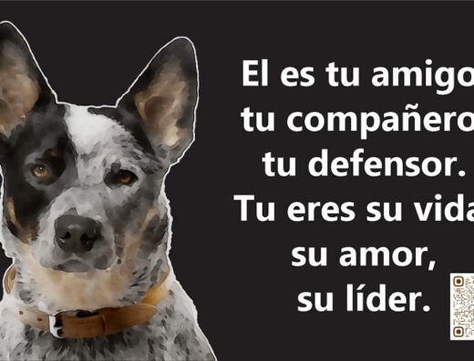 Paseador de Perros – Love My Doggy
