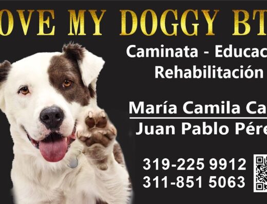 Paseador de Perros – Love My Doggy