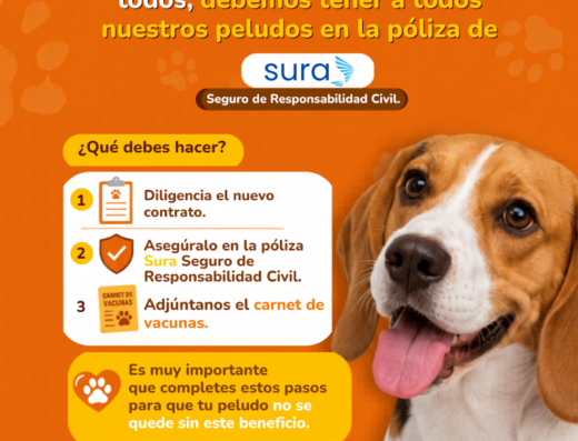 Paseadores de Perros Medellín- Canminata