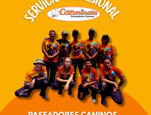 Paseadores de Perros Medellín- Canminata