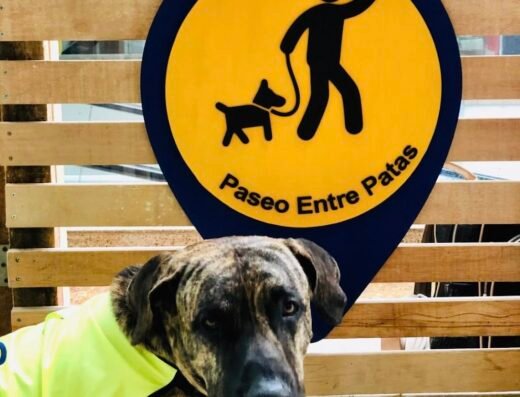 Paseo Entre Patas