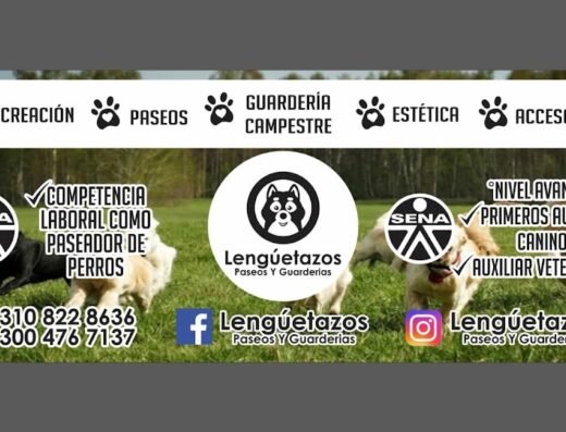 Paseos de perros