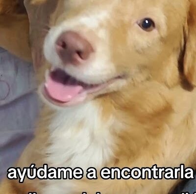 Dulce