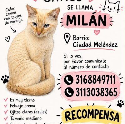Milán