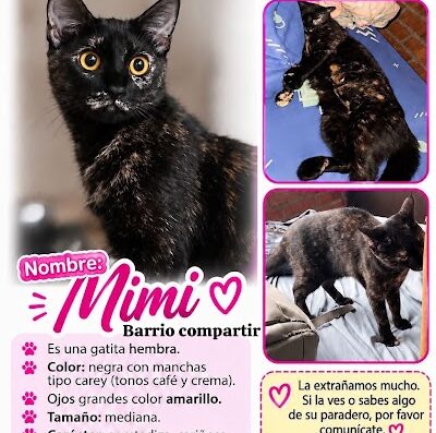 Mimi