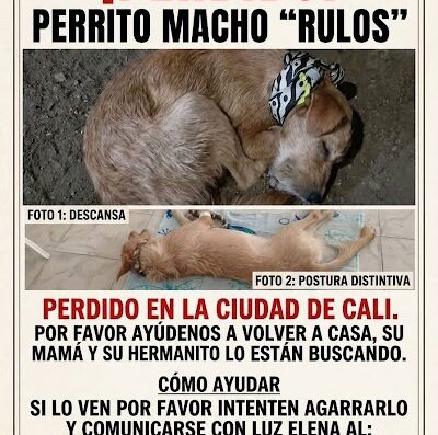 Rulos