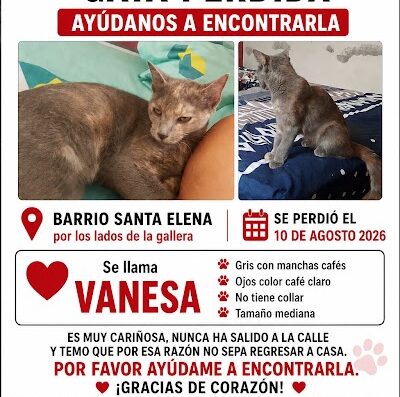 Vanesa