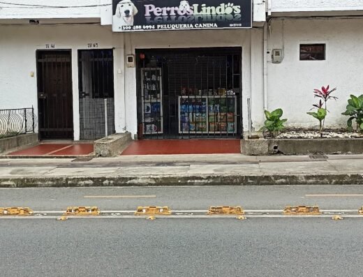 Peluqueria canina Perros Lindos