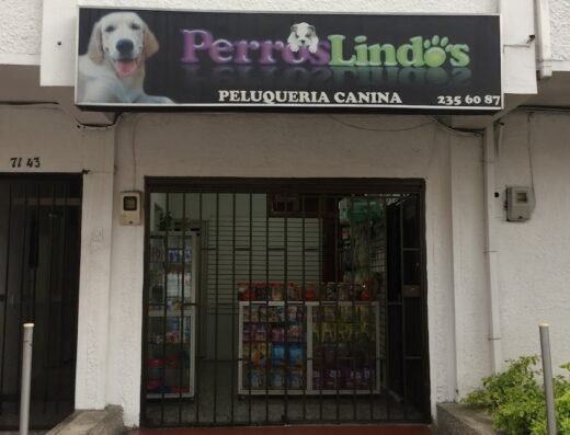 Peluqueria canina Perros Lindos