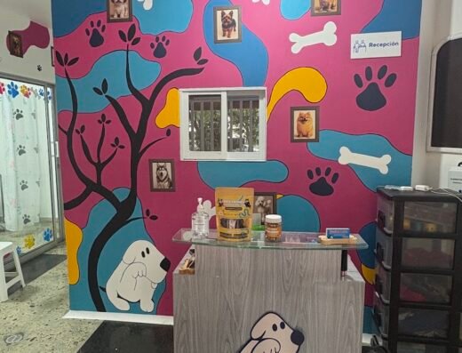 PELUQUERIA CANINA Y CONSULTORIO VETERINARIO HUESITOS LUCKY