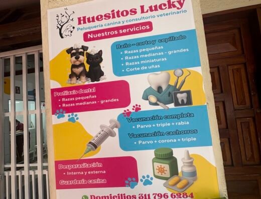 PELUQUERIA CANINA Y CONSULTORIO VETERINARIO HUESITOS LUCKY