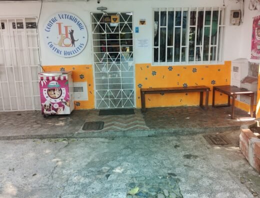 PELUQUERIA PARA PERROS | VETERINARIA CUATRO HUELLITAS | TIENDA DE MASCOTAS A DOMICILIO MEDELLIN