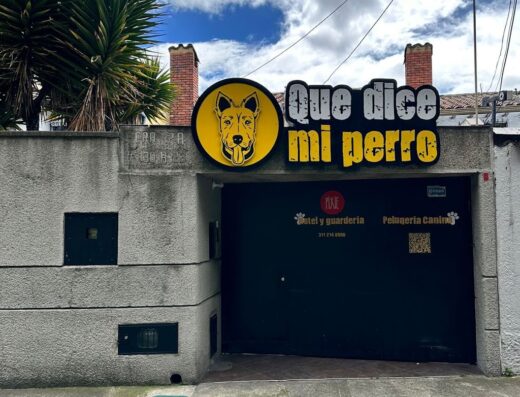 Que dice mi perro