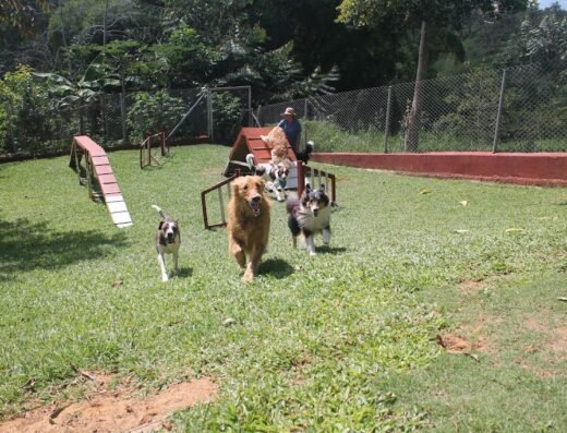 Ruitoque Club Canino