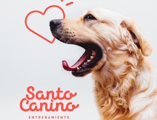 Santo Canino