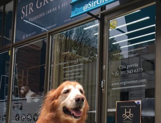 SIR GROOMER | Peluquería Canina & Boutique