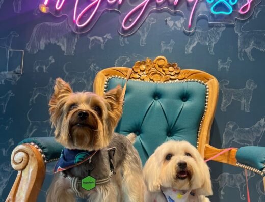 SIR GROOMER | Peluquería Canina & Boutique | POBLADO