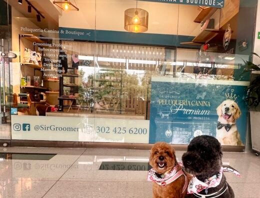 SIR GROOMER | Peluquería Canina & Boutique | POBLADO
