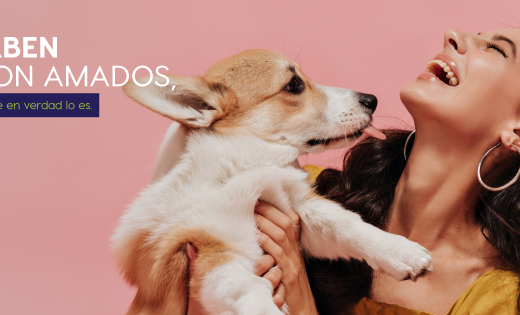 SOLO PATAS CENTRO MEDICO VETERINARIO
