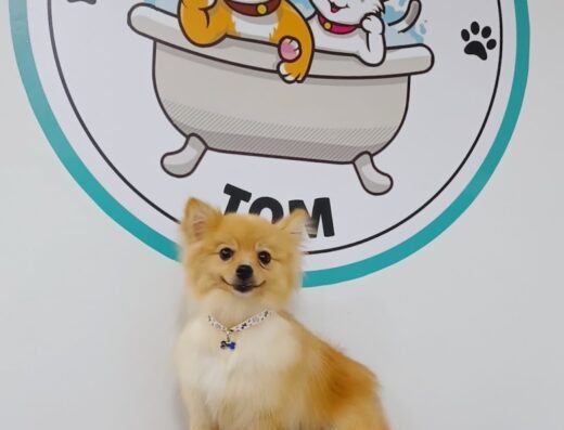 Spa de mascotas tom