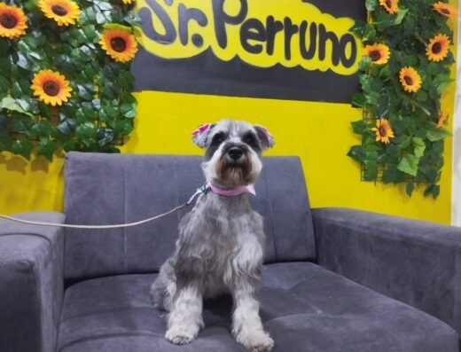 Sr Perruno