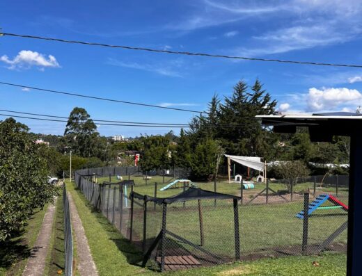 Universo Canino Marinilla