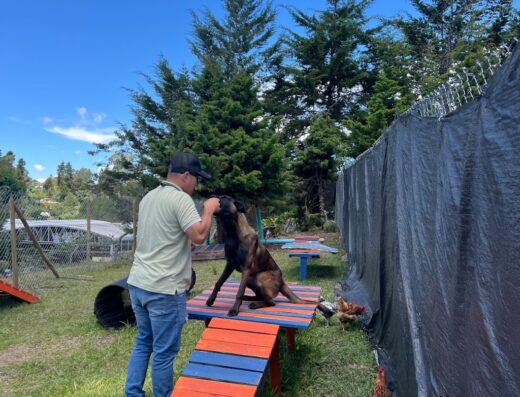 Universo Canino Marinilla