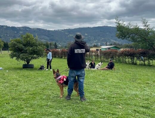 Urban Dogs Colombia Centro de Entrenamiento Canino⁠