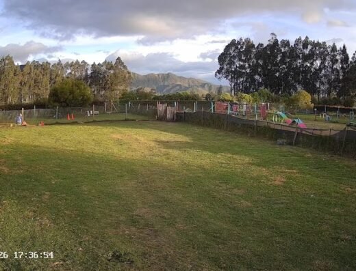 Urban Dogs Colombia Centro de Entrenamiento Canino⁠
