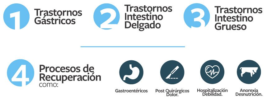 Agility Gold Entérico Gastrointestinal Perro Lata 6 Agility Gold Entérico Gastrointestinal Perro Lata, otra vista