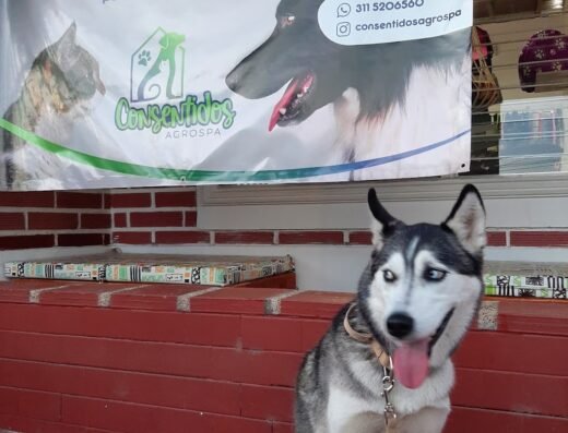 Veterinaria Consentidos Agrospa