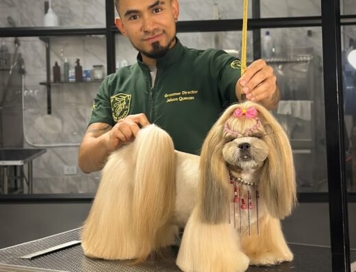 VINTAGE GROOMER