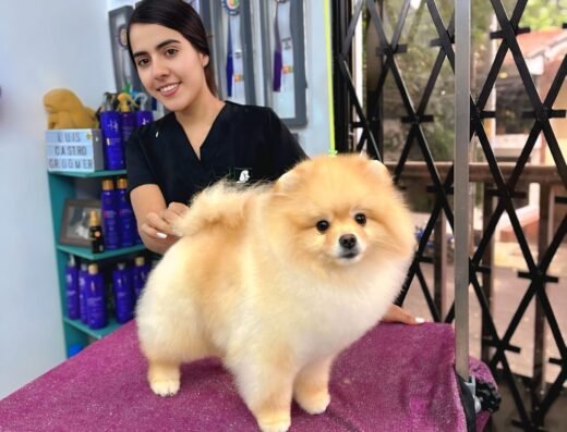 ALEPETS ESTETICA CANINA