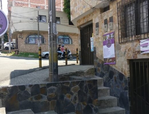 Animal Zone Peluquería Canina Y Felina