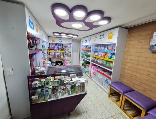 Animal Zone Peluquería Canina Y Felina