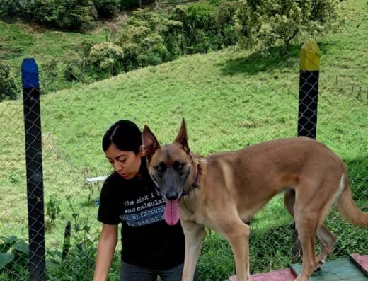 BAMBÚCAN CLUB CANINO