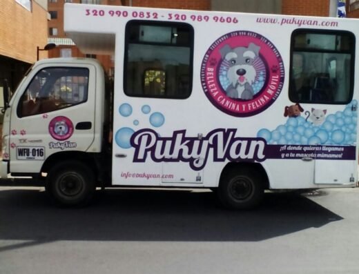 Belleza Canina y Felina