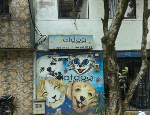 Catdog peluquería