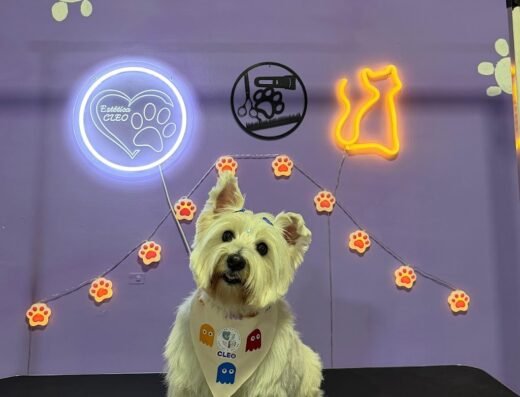 Centro estético canino y felino CLEO