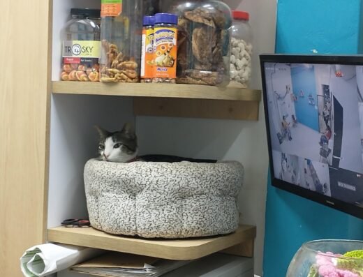 Clínica Veterinaria Caldas